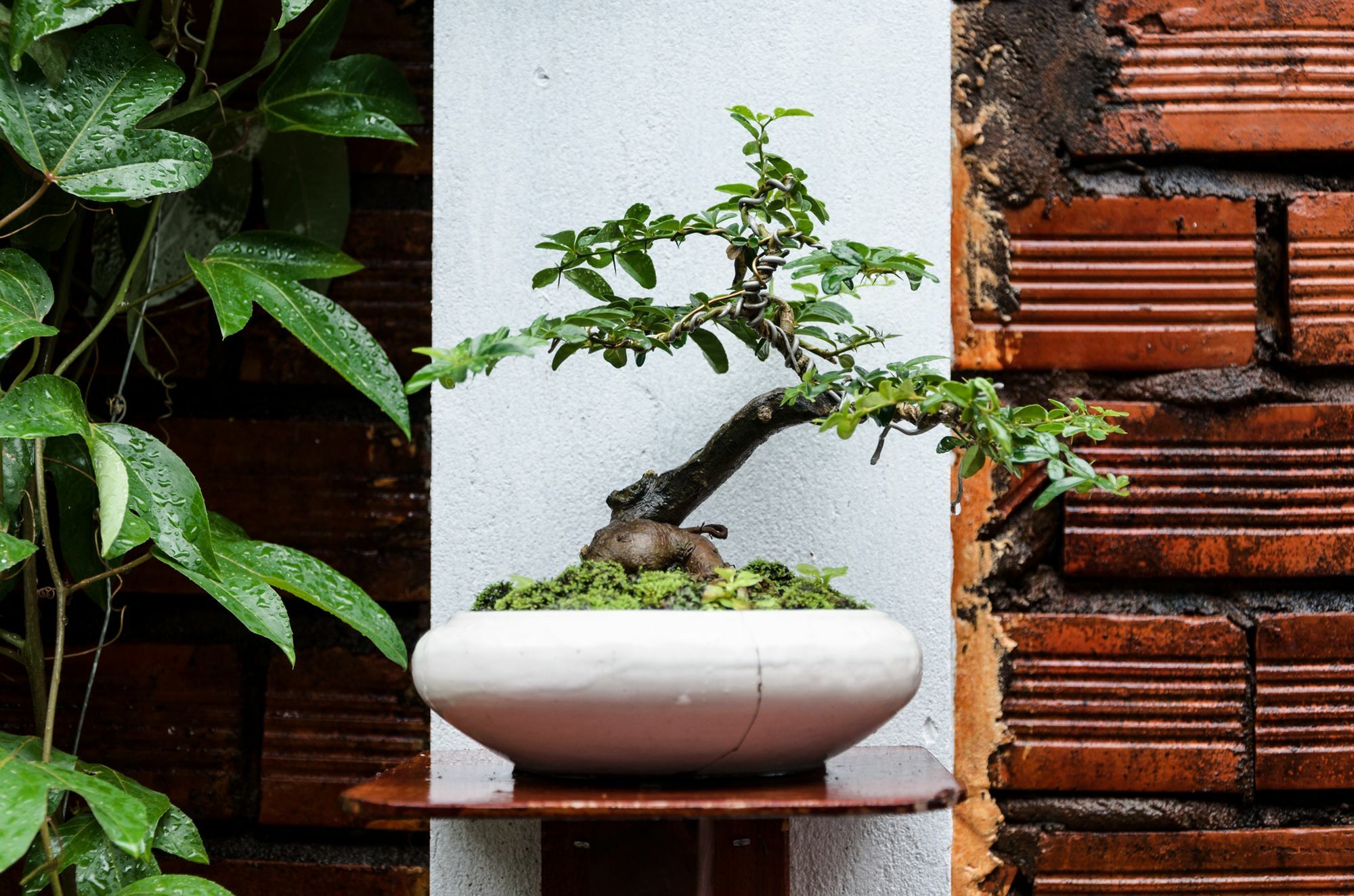 Ngoc Qui Bungalow Phú Quý Zewnętrze zdjęcie